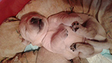 image-25-05-16-12-28-3