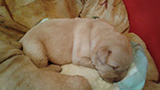image-25-05-16-12-28-41